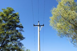 what to do for a downed power line what to do for a downed power line